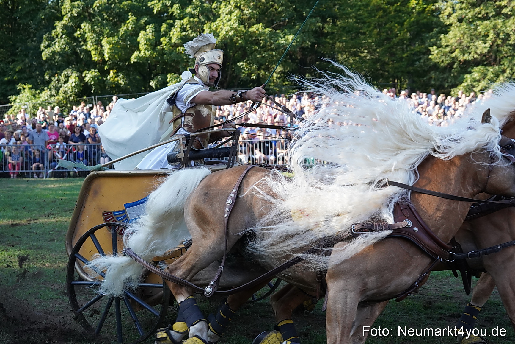 Pferde und Fohlenschau 2022 0031 
